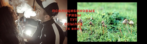 тгк Аркадак