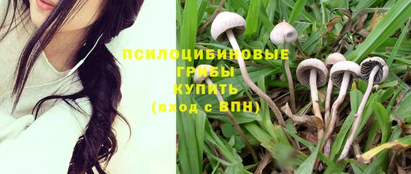 тгк Аркадак